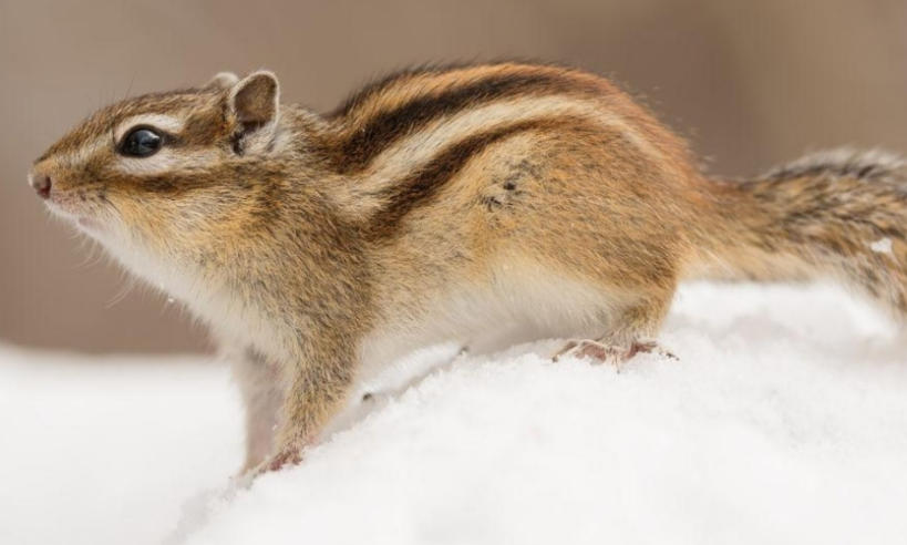 北京创意翻有限公司轮播图3